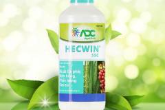 Tìm hiểu các loại thuốc trị bệnh phấn trắng trên cây cao su hiệu quả 