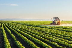 Thuốc trừ cỏ Glyphosate - Ưu nhược điểm và ảnh hưởng của thuốc trừ cỏ Glyphosate