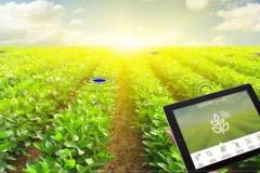 Top 4 app nông nghiệp được tin dùng nhất năm 2023