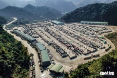 Hơn 1.300 container hoa quả lại nằm chờ ở biên giới, chưa thể xuất sang Trung Quốc