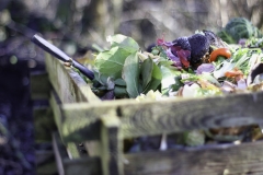 Chế phẩm sinh học compost maker nguyên liệu không thể thiếu khi ủ phân bón hữu cơ