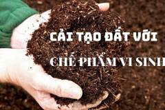 Vai trò của ứng dụng vi sinh vật trong nông nghiệp