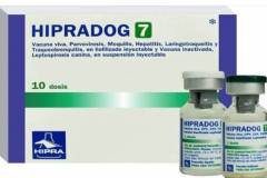 Vaccine 7 bệnh cho chó phòng những bệnh gì? Có đắt không?