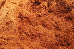 Xơ dừa trồng cây là gì? Tác dụng và cách ủ xơ dừa trồng cây hiệu quả