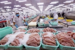 Tăng cường xúc tiến thương mại xuất khẩu thủy sản Việt Nam sang thị trường EU từ nay đến 2025