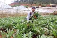 2 ý tưởng khởi nghiệp từ nông nghiệp mang lại hiệu quả kinh tế cao