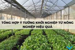 Tổng hợp các ý tưởng khởi nghiệp từ nông nghiệp hiệu quả nhất năm 2023
