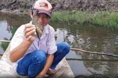 Nông dân Cà Mau làm giàu nhờ mô hình nuôi tôm sú kết hợp nuôi cua