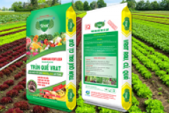 Địa chỉ cung cấp tinh bò Chianina?