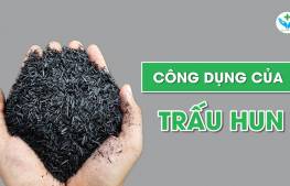 Công dụng của trấu hun mà bạn cần biết