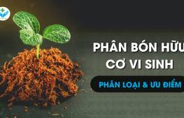Phân hữu cơ vi sinh: Phân loại và Ưu điểm