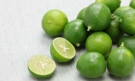Cơ hội hợp tác với vị thương nhân đến từ Ả Rập Xê Út cho đơn hàng xuất khẩu chanh