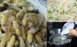Nhộng ong là gì? Giá trị dinh dưỡng từ nhộng ong bạn không thể bỏ qua