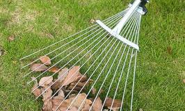 Các loại chổi cào cỏ phổ biến trên thị trường hiện nay
