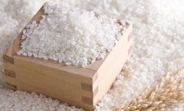 Cơ hội hợp tác với doanh nghiệp tại Trung Quốc cho đơn hàng gạo với số lượng lớn