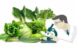 Tìm hiểu về chứng nhận kiểm dịch thực vật 