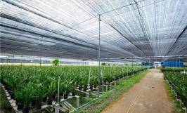 Bạt đen che nắng – Giải pháp cho nhà nông