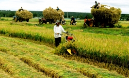 Sẽ có quy định mới về chính sách hỗ trợ bảo hiểm nông nghiệp