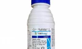 Tìm hiểu các loại thuốc trị bệnh đốm mắt cua trên cây cà phê hiệu quả 