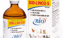 Gợi ý các loại thuốc trị bệnh hồng lỵ ở heo hiệu quả