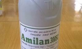 Tìm hiểu các loại thuốc trị bệnh nấm hồng trên cây cà phê hiệu quả