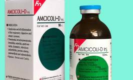 Gợi ý các loại thuốc điều trị bệnh sưng phù đầu ở lợn con hiệu quả