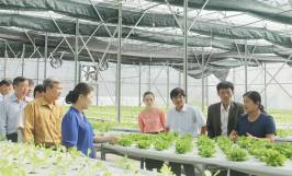 Khám phá các mô hình kinh tế nông nghiệp hiệu quả