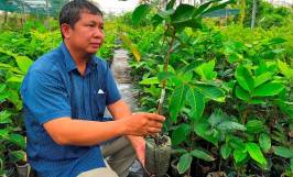 Túi ươm cây nông nghiệp là gì? Kinh nghiệm lựa chọn cho bà con