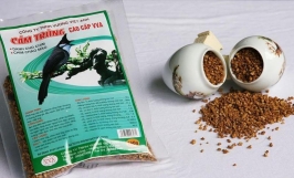 Chế độ dinh dưỡng cho chào mào qua từng giai đoạn phát triển