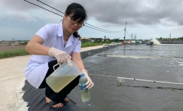 Sáng chế chế phẩm làm sạch nước cho ao nuôi tôm cá từ nữ Tiến sĩ Việt Nam