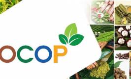 Chứng nhận OCOP là gì? 5 điều cần biết về OCOP