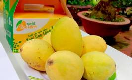Top những món đặc sản Cao Lãnh ngon trứ danh