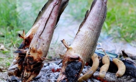 Những món ăn đặc sản miền nam gây thương nhớ cho du khách thập phương