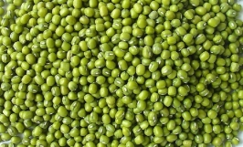 Cơ hội giao thương xuất khẩu hạt đỗ xanh sang thị trường Jordan