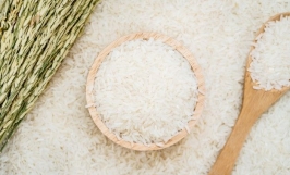 (Gấp) Thương vụ xuất khẩu gạo sang thị trường Nga