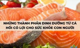 Những thành phần dinh dưỡng từ cá hồi có lợi cho sức khỏe con người