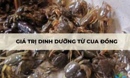 Giá trị dinh dưỡng từ cua đồng