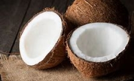 Cơ hội hợp tác với doanh nghiệp tại Dubai cho đơn hàng xuất khẩu dừa với số lượng lớn