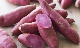 Cơ hội hợp tác với doanh nghiệp tại UAE cho đơn hàng xuất khẩu khoai lang