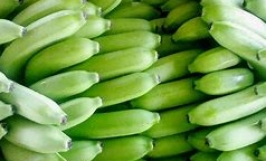 Cơ hội trở thành nhà cung cấp cho sản phẩm chuối tươi xuất sang thị trường Romania