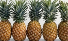 Đối tác đến từ Romania cần tìm nhà cung cấp mặt hàng dứa tươi