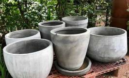 Top những dụng cụ trồng cây cảnh không thể thiếu khi làm vườn