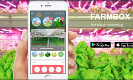 Nền tảng quản lý nông nghiệp thông minh FARMBOX
