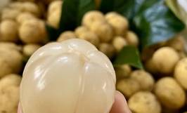 Tham khảo giá bòn bon và cách chọn mua bòn bon ngon ngọt