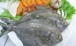Tham khảo giá cá chim đen và cách chọn mua cá tươi ngon 
