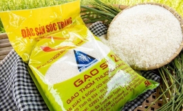 Tham khảo giá gạo hiện nay