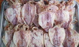 Tham khảo giá mực khô ở một số địa phương và cách chọn mua mực