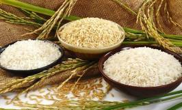 Giá lúa gạo hôm nay [ngày 29/11/2022]: có sự điều chỉnh tăng 