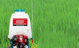 Tham khảo giá máy phun thuốc sâu chạy bằng xăng được dùng phổ biến hiện nay