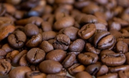 Cà phê arabica